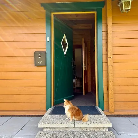 Haus Otis בקתה באד מיטרנדורף