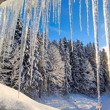 Alpehytte Haus Otis Bad Mitterndorf