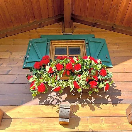 Haus Otis Alpehytte *