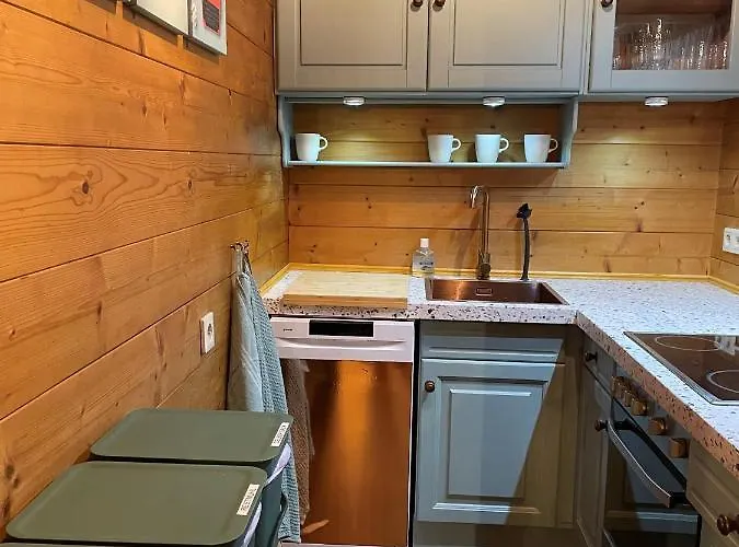 Haus Otis Chalet Bad Mitterndorf